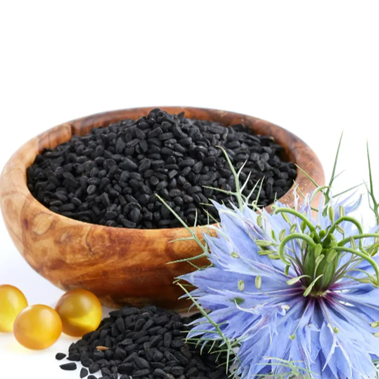actifs ingredients charbon serum oreva